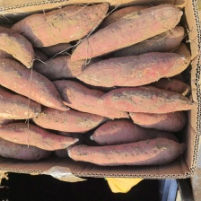 【<font color=red>西瓜</font>红】红薯通货货量大品质优欢迎来