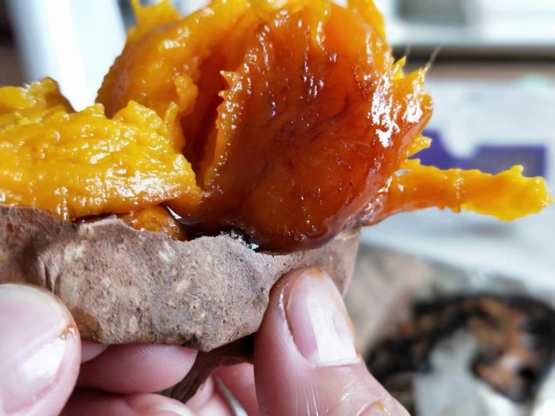 烟薯25 蜜薯红薯烤地瓜专用批发零售