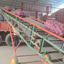 黄洋葱山东新下黄皮洋葱收货储存发市场电商平台出口货源充足