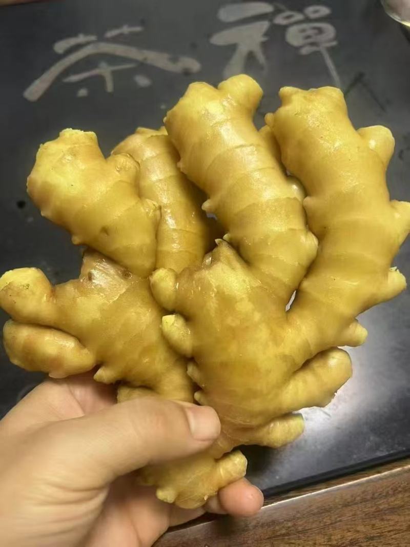 精品小黄姜 窖藏 沙土水洗 对接电商市场商超 量大从优