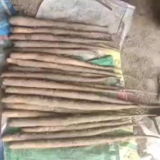 陕西白玉<font color=red>山药</font>大量上市产地一手货源 现