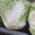 新乡小包白菜，大平台，电商，超市等价格优惠，