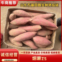 烟薯25蜜薯产地直发全年供应全国发货量大优惠品质保证