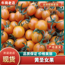 圣女果 10克以上