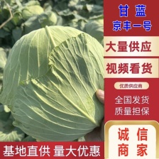 甘蓝 圆包菜 产地看货支持视频看货 欢迎咨询订购
