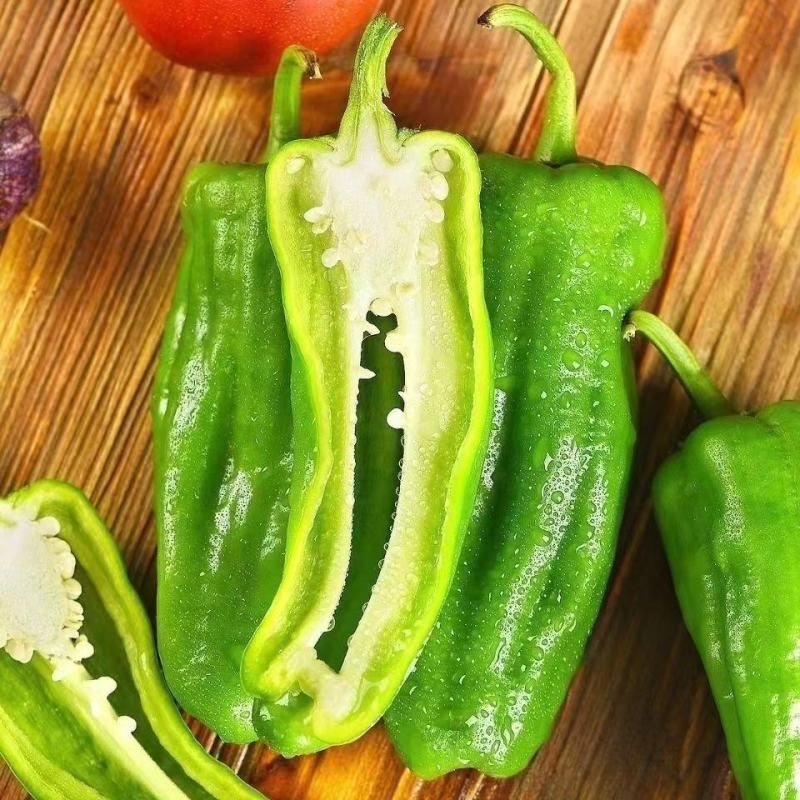 鲜辣椒 芜湖椒 薄皮椒 量大从优 欢迎订购