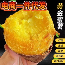 山东临沂  <font color=red>西瓜</font>红  红皮红心