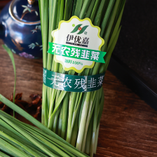 【优质推荐】韭菜辽宁凌海头刀韭菜根粗叶绿以质论价看菜定货