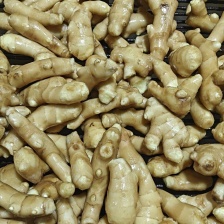 山东优质大黄姜 现挖带泥/水洗/风干/窖藏 按需加工