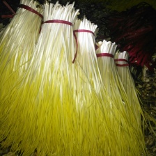 精品蒜黄，质优价廉，大量有货