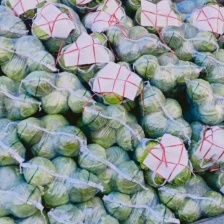 扁包，甘蓝精品产地，适合加工厂，超市，出口