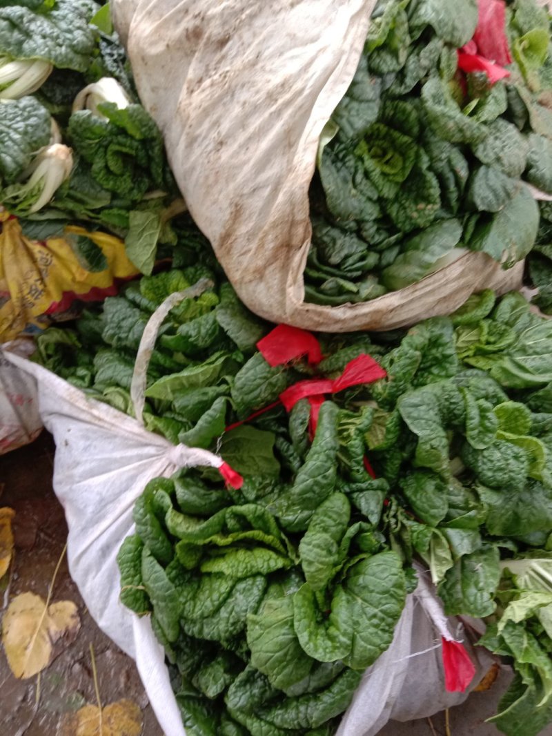 广发家庭种植农场