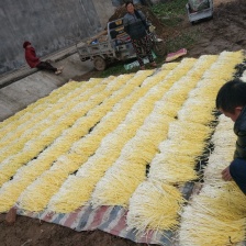 各种韭黄精品小把，短条，长条。根据客户要求来做。