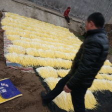 各种韭黄精品小把，短条，长条。根据客户要求来做。