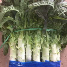 红叶莴笋，无空心，无裂口，质量保证！