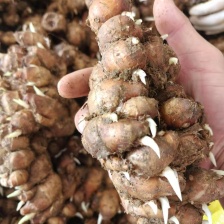 周小福农副产品经营部