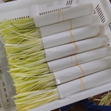 精品韭黄，一手货源，保质保量，量大从优，欢迎来电