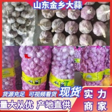独头蒜 辽宁产区直发 保质保量供货 对接全国