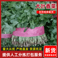 <font color=red>香菜</font>大量现货