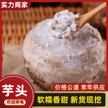 云南人头芋上市 产地直供 对接加工厂/商超/市场/加工厂