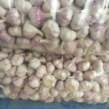 精品大蒜 河南大蒜 一手货源 对接电商市场等 代发全国