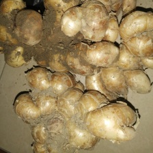 自产自销广西钦州市钦北区大量新鲜沙姜，需要的请联系