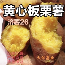 红瑶蜜薯甜度高软糯香甜整车批发一件代
