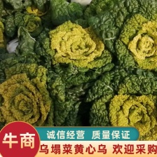 乌塌菜，精品黄心菜，黄心乌电商平台，商超直供，有实力联系