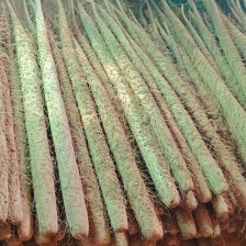 河南安阳铁棍山药大量接单产地直发量大从优欢迎来电