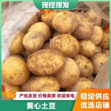 实验一土豆，围场库存，牙克石库存土豆大量供应。干洗翻包