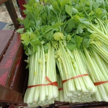 小张诚信蔬果蔬直产批发