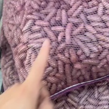 2025小白嘴<font color=red>山药</font>豆