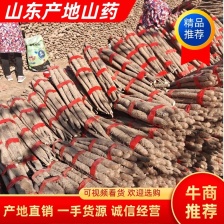 精品铁棍山药大量上市产地直发 供应全国质量保证 看货定价