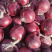 【实力】精品紫皮洋葱 8厘米以上超市直供 口感好体型好