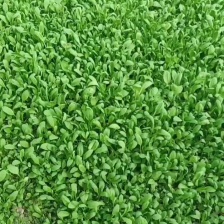 久朋农业合作社