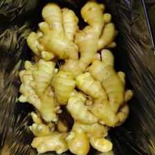 河南鲜姜大黄姜『代存入库』一比一配资（产地一手货源）