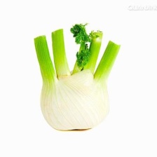 【精品】茴香大量有货 一手货源产地 欢迎采购