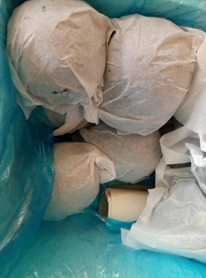 茄子 园茄，长茄，绿把长茄紫把园茄产地供应