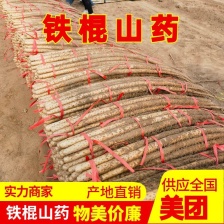 【山药】 铁棍山药 淮山药 火锅店 加工厂电商供应现货