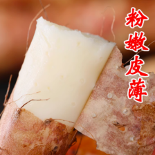 【山药】 铁棍山药 淮山药 火锅店 加工厂电商供应现货