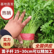 山东优质茼蒿   以质量求生存 产地一手货源小工包装齐全