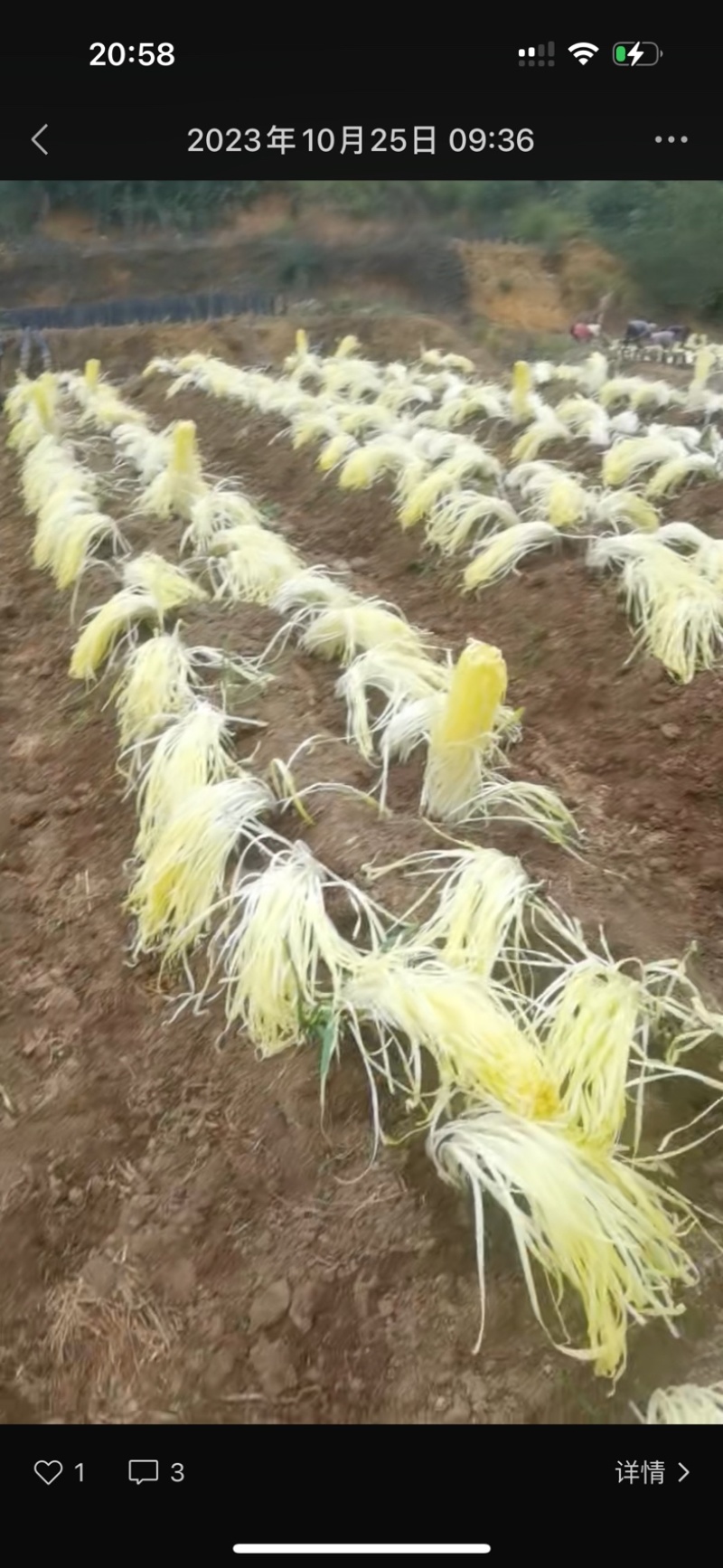 丽景香园-生态农业开发有限公司