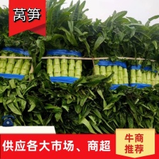莴笋大量供应（半净菜、光杆）、质量保证、支持各种包装