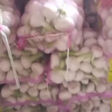 山东手选大蒜产地批发一手货源电商全国发货