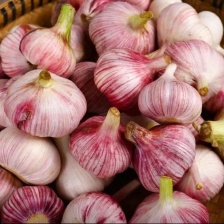 山东手选大蒜产地批发一手货源电商全国发货