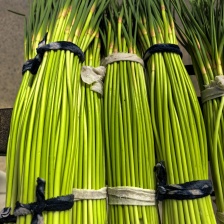 供应蒜薹，产地直发，质量保证，各种包装供应