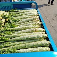 恒茂果蔬产地批发