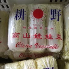 云南红河娃娃菜 产地直发 品质保障 对接全国商超市场等