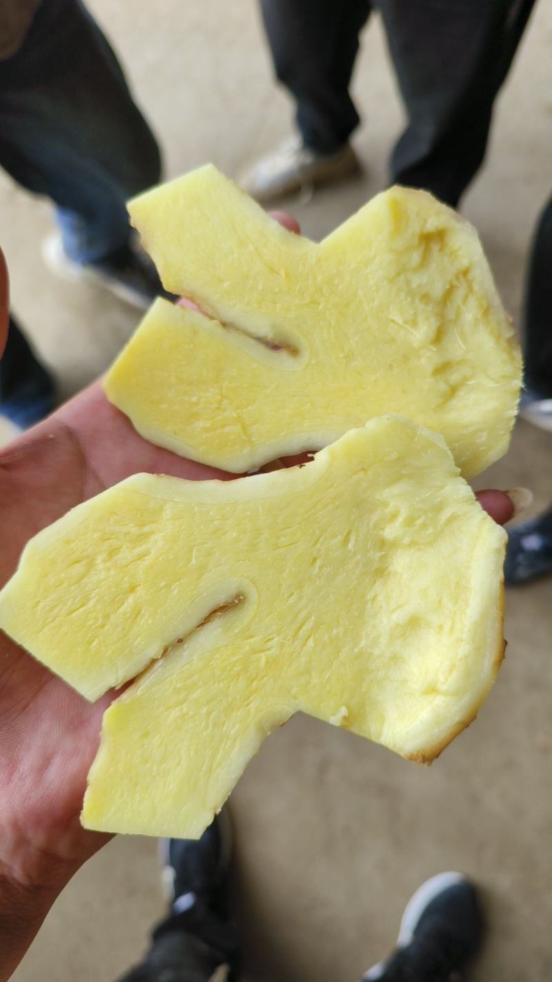 供应电商、商超、食品厂，代存圆头生姜产地一手货源