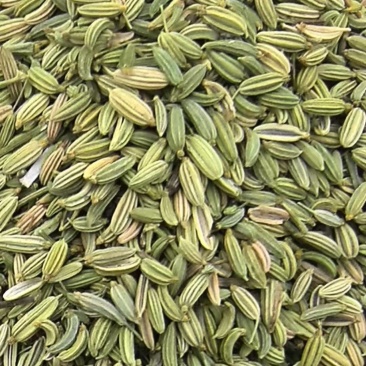 小杨大葱产地直发